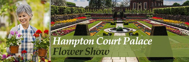 RHS Hampton Court Flower Show