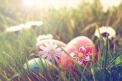 Easter Weekend Breaks by Coach