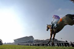Opening Meeting Cheltenham