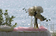 Athena Beach Cyprus Weddings