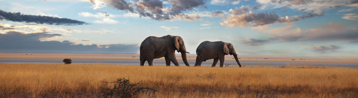 Kenya