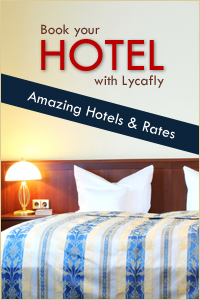 follow Lycafly.com twitter