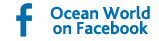 Be the first to know about cruise offers, news and competitions