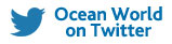 Ocean World Travel Twitter