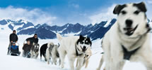 Alaska, Canada & New England