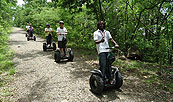 Escorted Tours