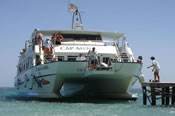Holidays Alcudia
