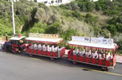 Local transport