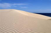 The famous sand dunes of Corralejo The famous sand dunes of Corralejo