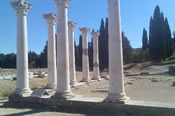 Holidays Kos Town
