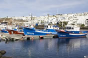 Fishing harbour at Puerto del Carmen Fishing harbour