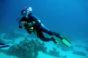 Click to find out more about holidays to Hurghada