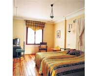Hotel Alp Pasa
