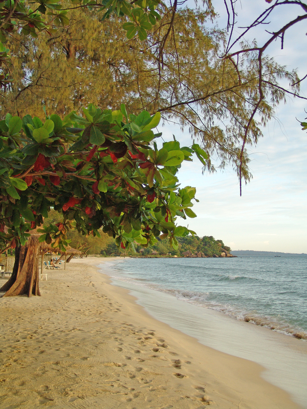 Brochure Image
