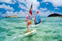 Windsurfers