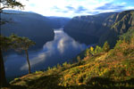 Norwegian Fjord