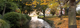 Christchurch