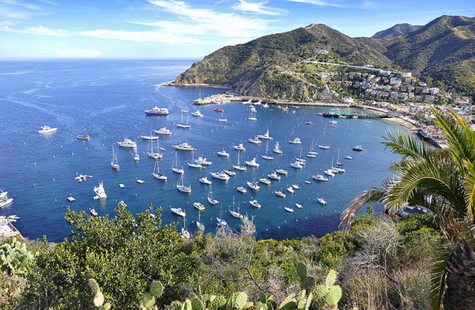 Catalina Island