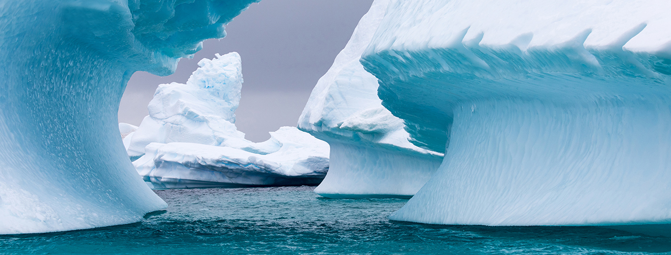 cheap antarctica cruise